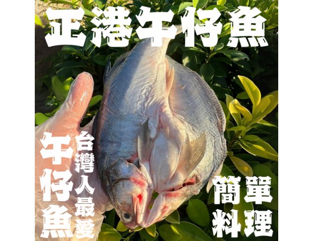 蝴蝶切午仔魚