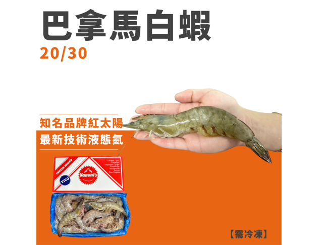 巴拿馬白蝦20/30
