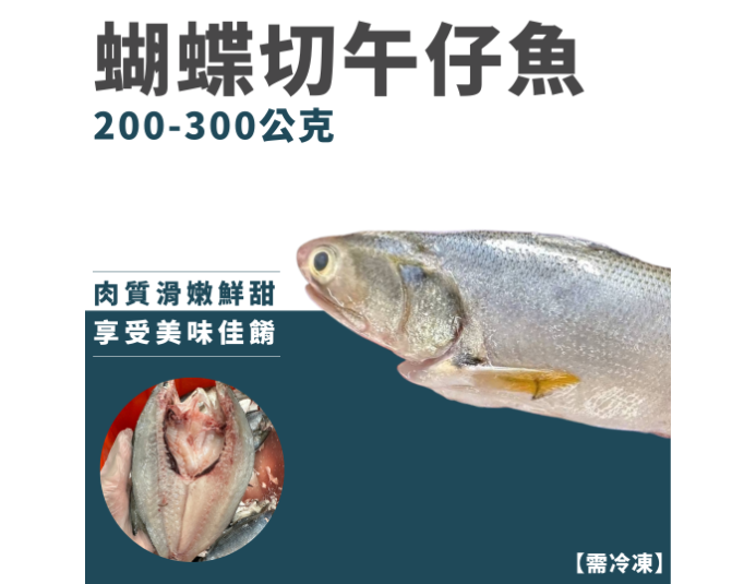 蝴蝶切午仔魚