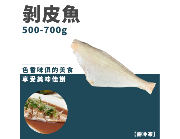 剝皮魚5/7