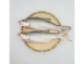 午仔魚2/3*2入