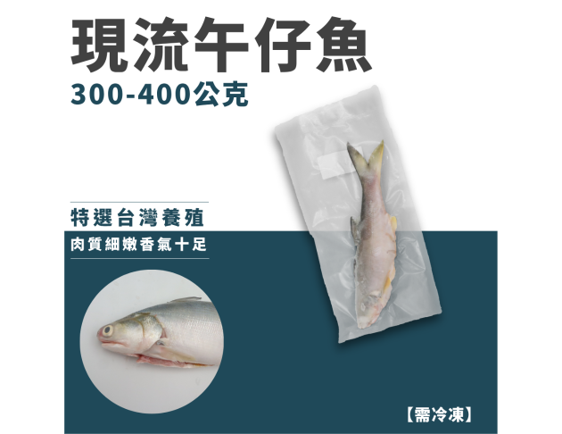 午仔魚3/4