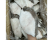 鱈魚切片（比目魚）