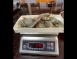 巴拿馬白蝦20/30｜紅太陽