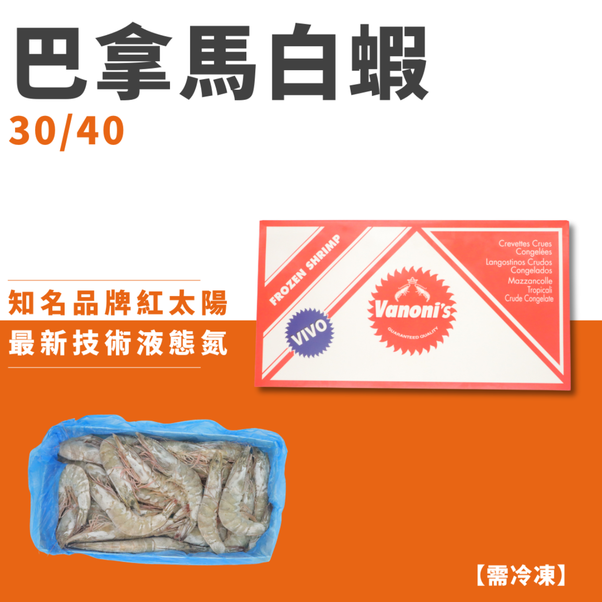 巴拿馬白蝦30/40｜紅太陽