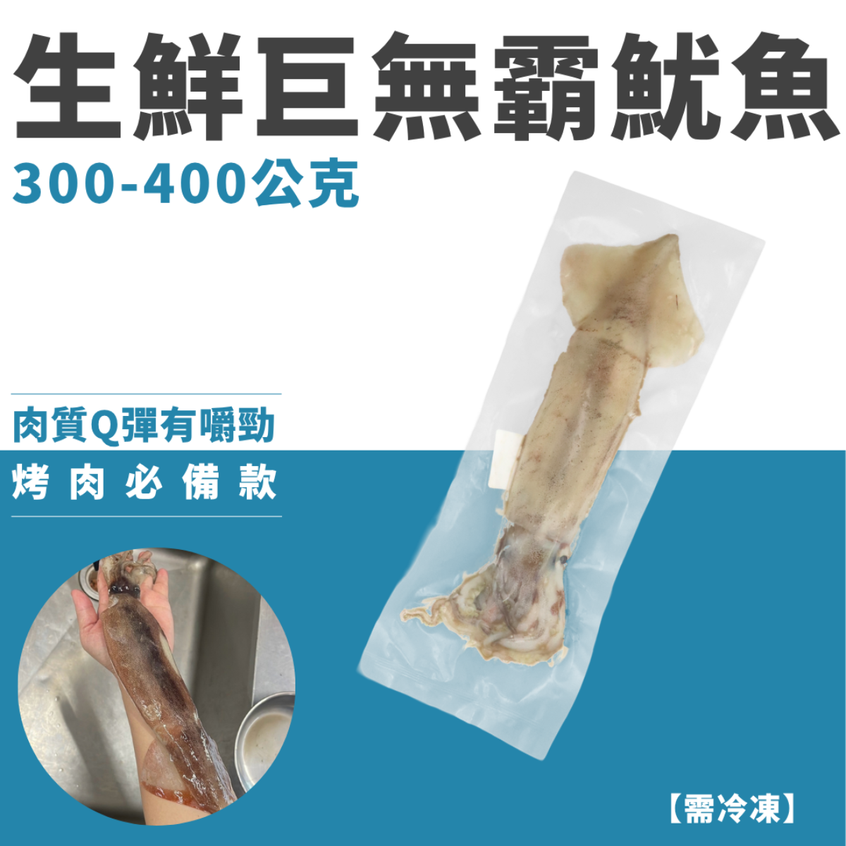 生鮮巨無霸魷魚（未殺菁）