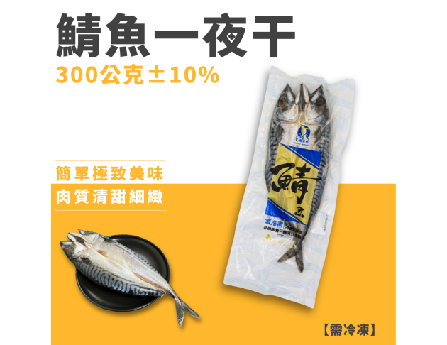 鯖魚一夜干